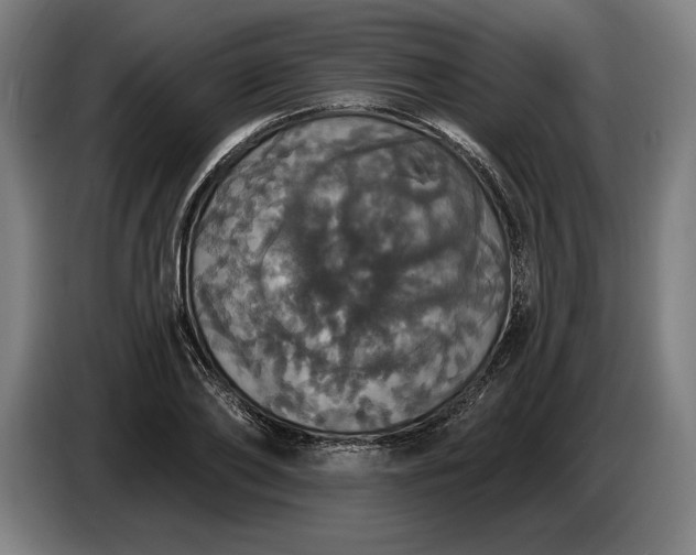 X0000087410886200705041246