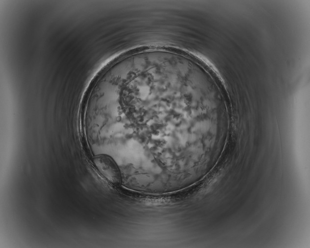 X0000087410887200705041246