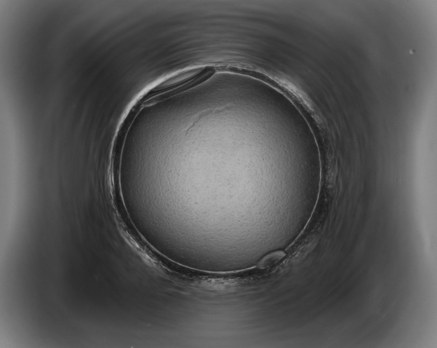 X0000087410888200705041246