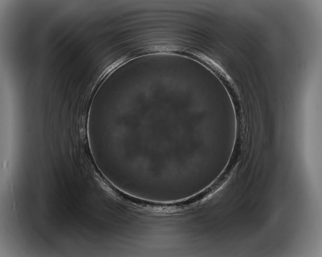 X0000087410889200705041245