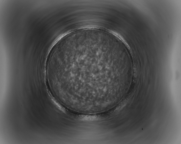 X0000087410890200705041245