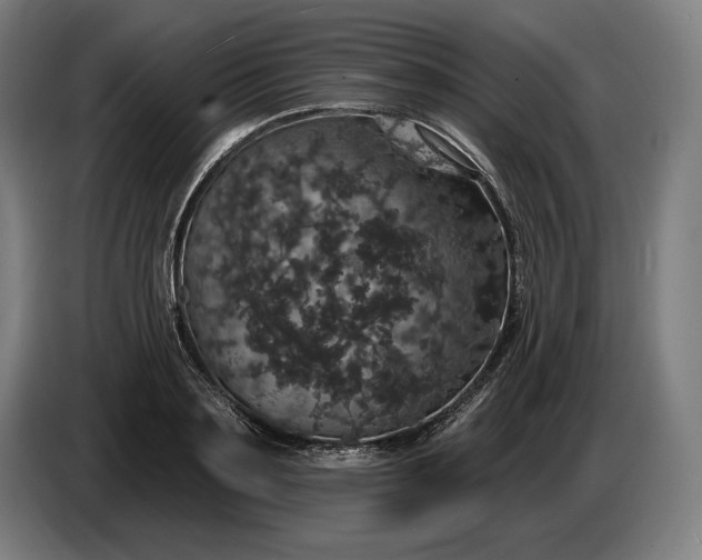 X0000087410891200705041245