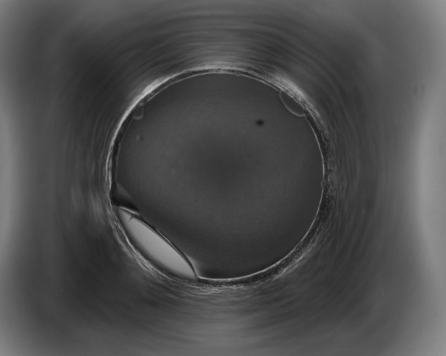 X0000087410892200705041245