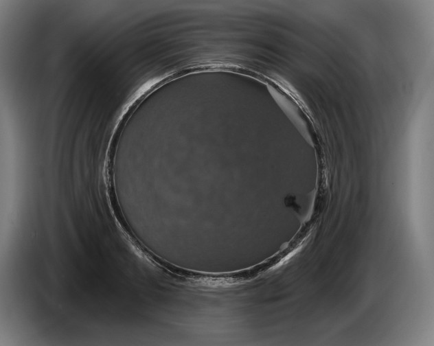 X0000087410893200705041245