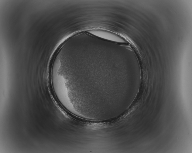 X0000087410894200705041245