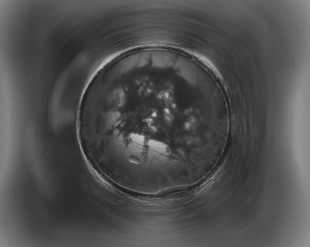 X0000087410895200705041245