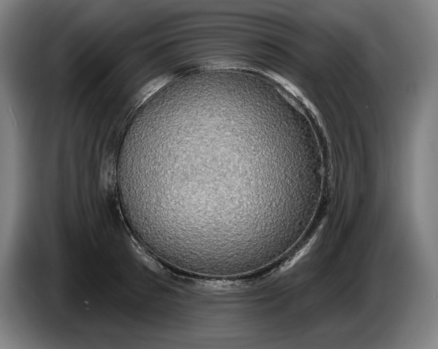 X0000087410897200705041245