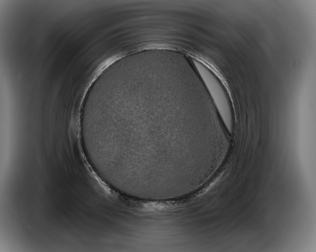 X0000087410898200705041245