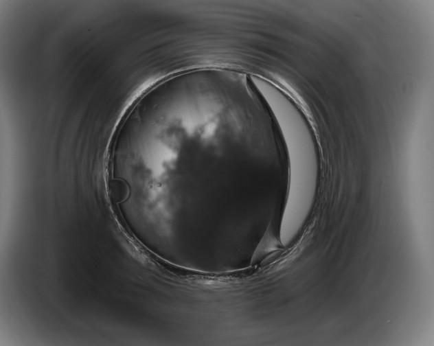 X0000087410899200705041245