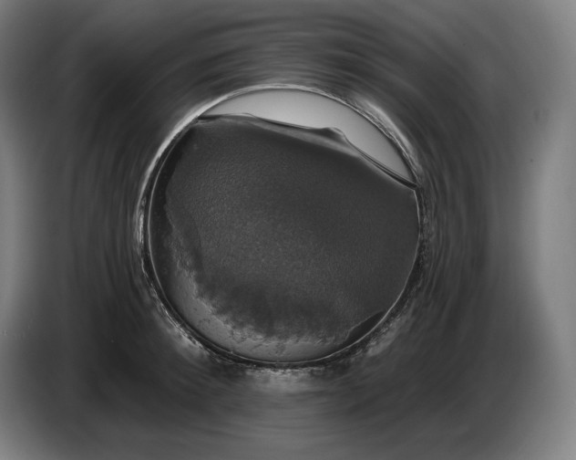 X0000087410900200705041245