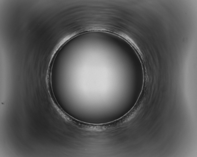 X0000087410901200705041245