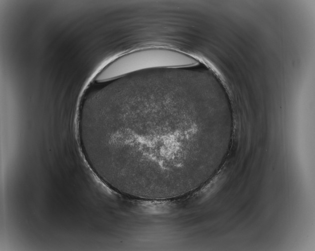 X0000087410902200705041245