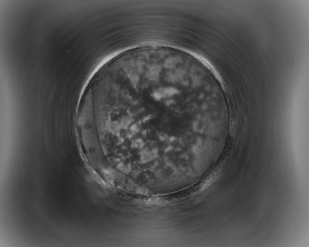 X0000087410903200705041245