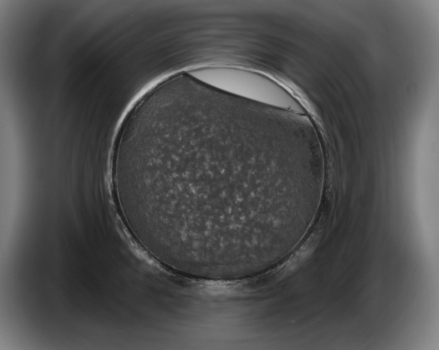 X0000087410904200705041245