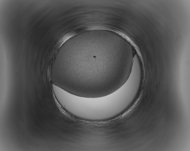 X0000087410905200705041245