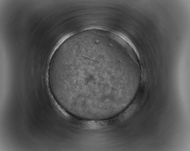 X0000087410906200705041245