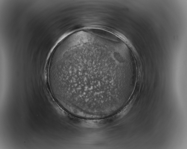 X0000087410908200705041245