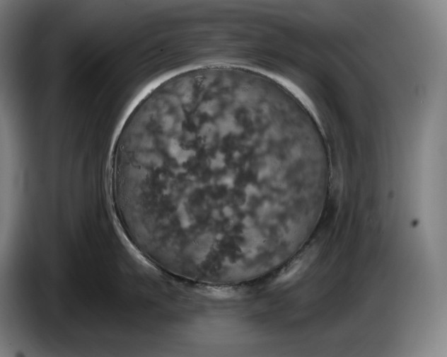 X0000087410911200705041245