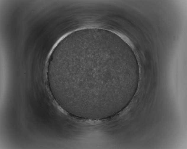 X0000087410912200705041245