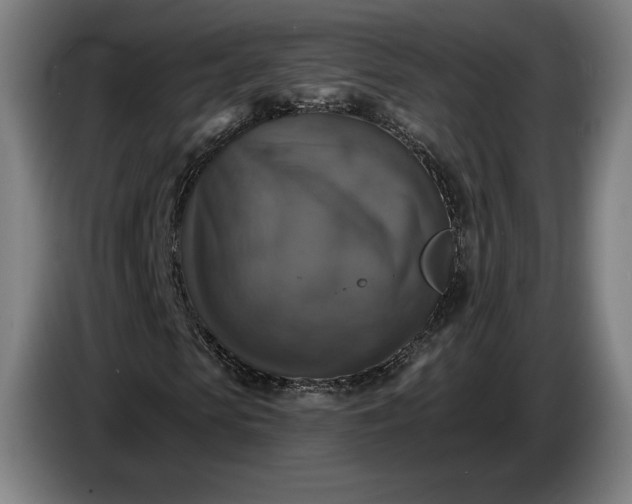 X0000087410913200705041245