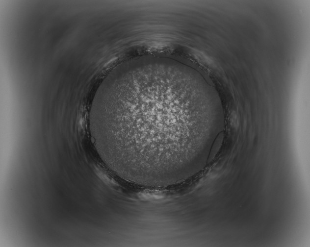 X0000087410914200705041245