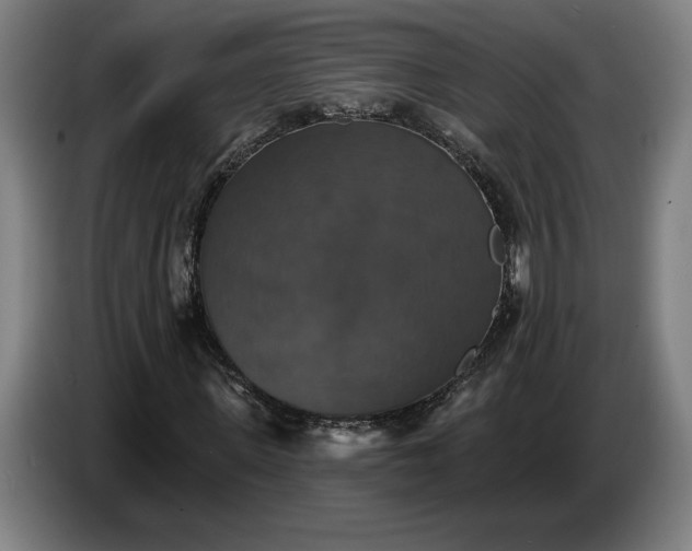 X0000087410915200705041245