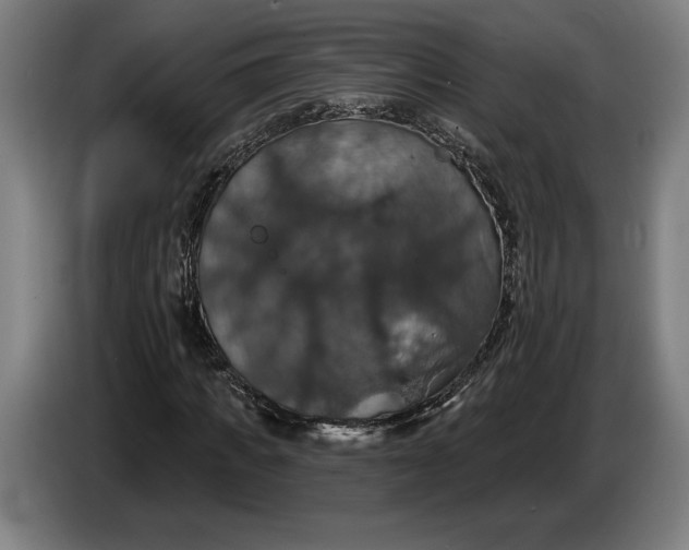 X0000087410917200705041245