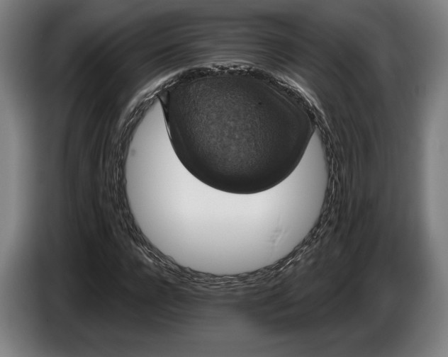 X0000087410920200705041245