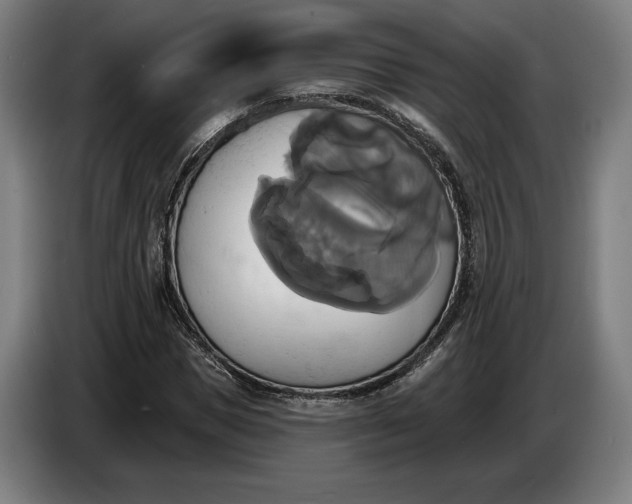 X0000087410921200705041245