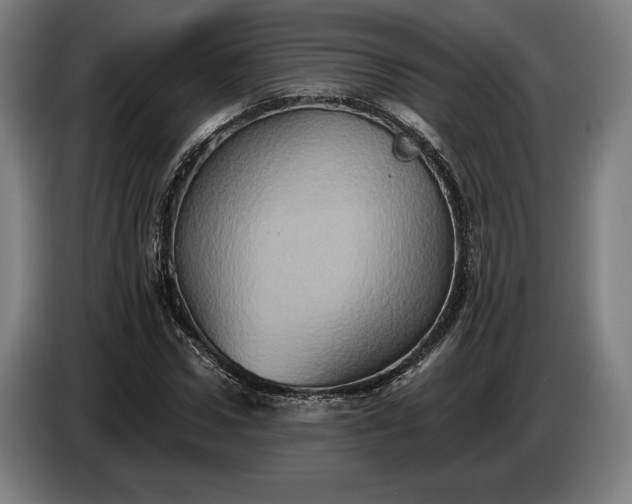 X0000087410922200705041245