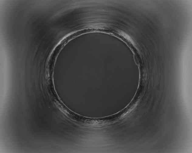 X0000087410923200705041245