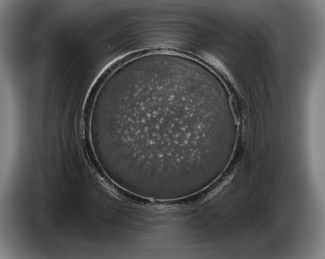 X0000087410924200705041245