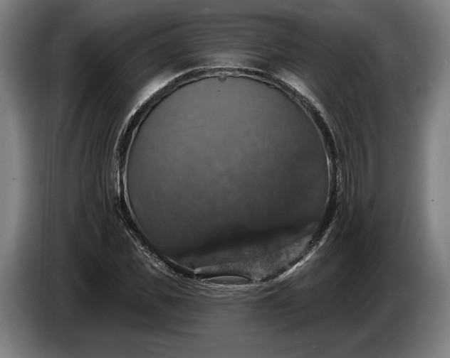 X0000087410925200705041245