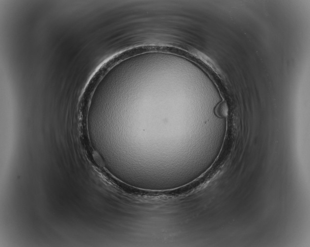 X0000087410926200705041245