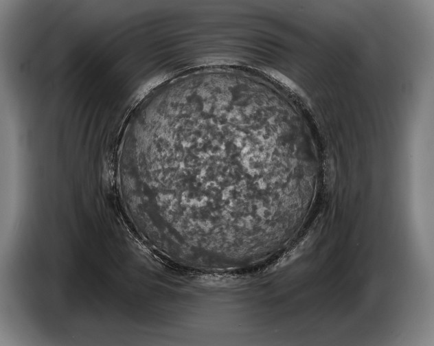 X0000087410929200705041245