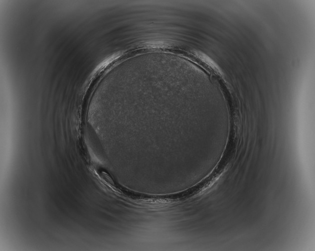 X0000087410930200705041245