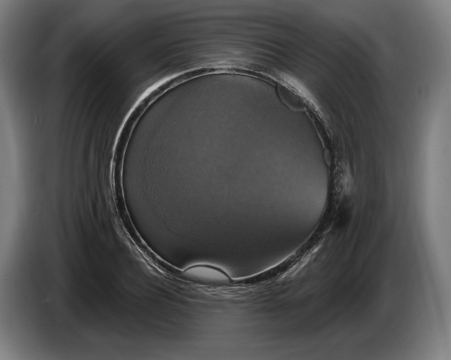 X0000087410932200705041245