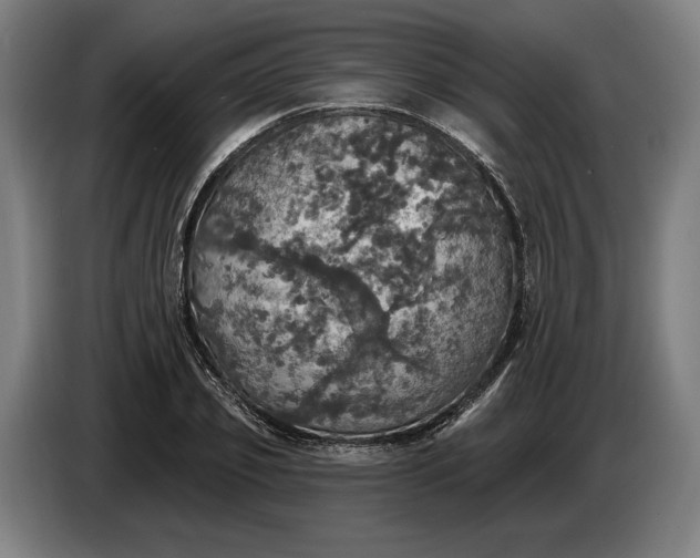 X0000087410933200705041245