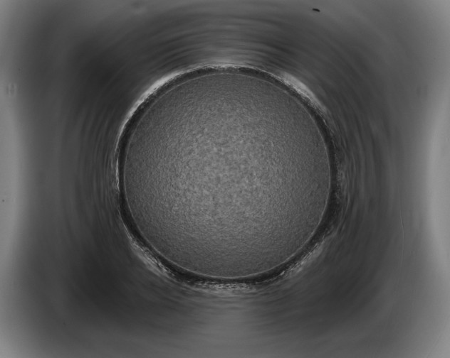 X0000087410934200705041245