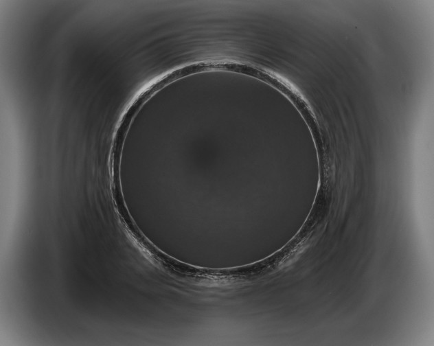 X0000087410935200705041245