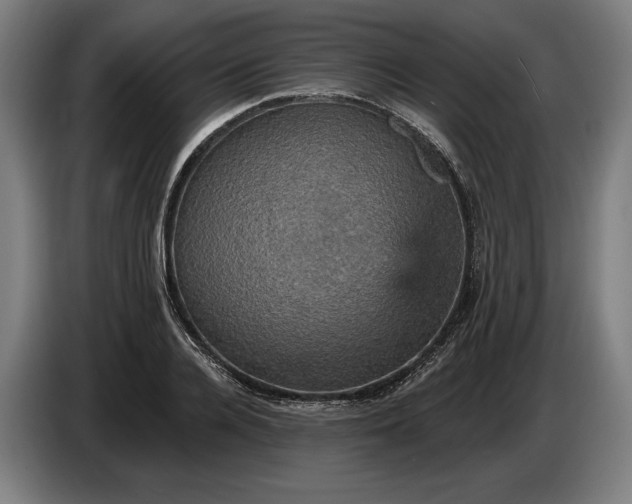 X0000087410936200705041245