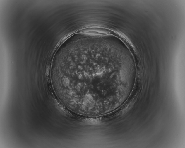 X0000087410937200705041245