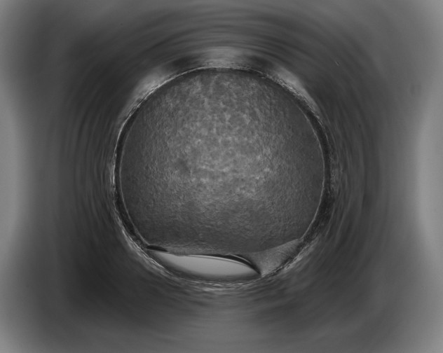 X0000087410938200705041245