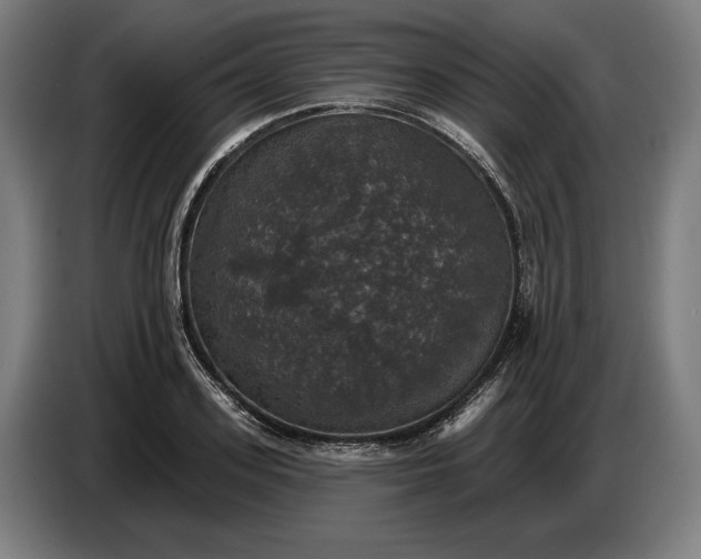 X0000087410939200705041245