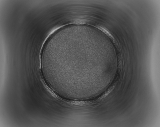 X0000087410940200705041245