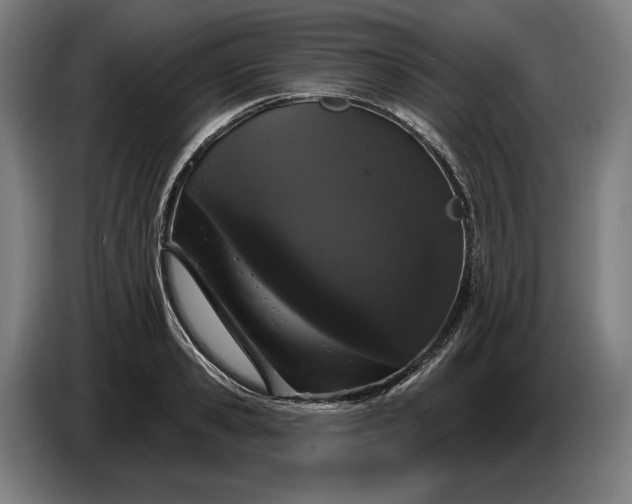 X0000087410941200705041245