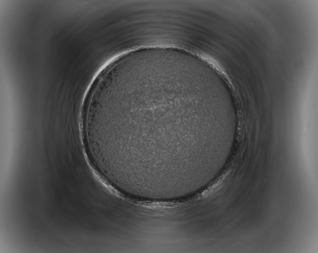 X0000087410942200705041245