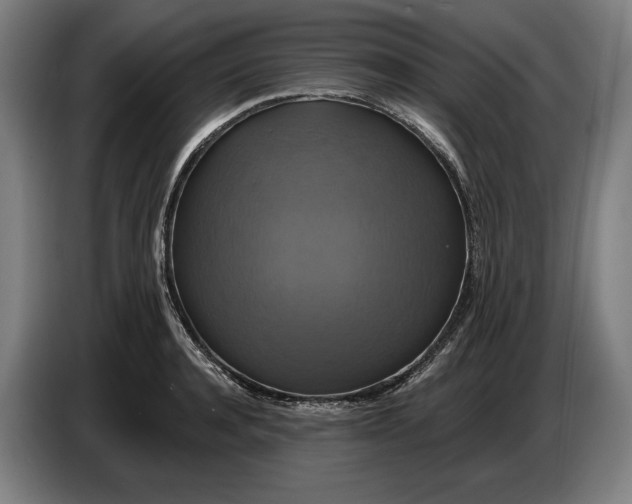 X0000087410944200705041245