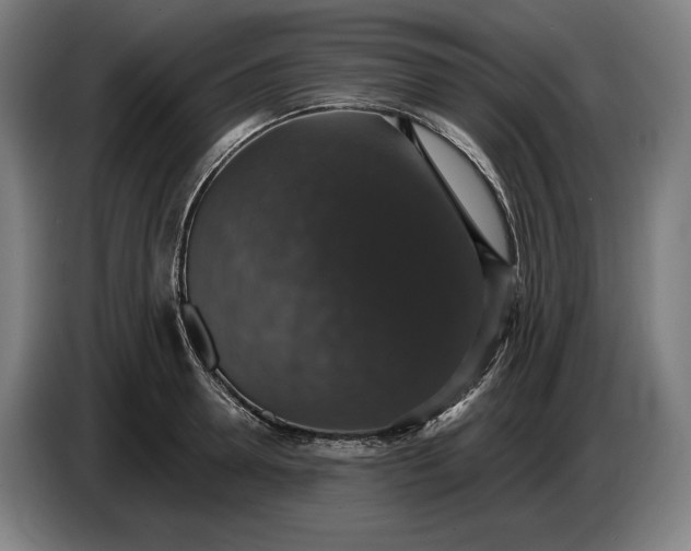 X0000087410946200705041245