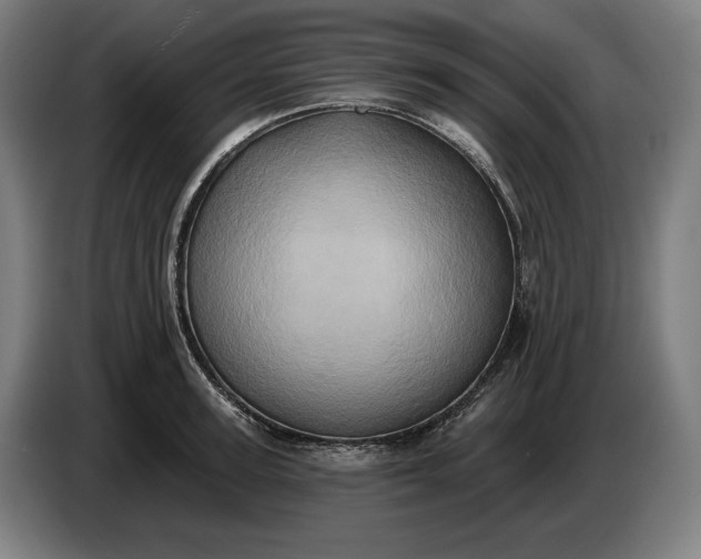 X0000087410947200705041245